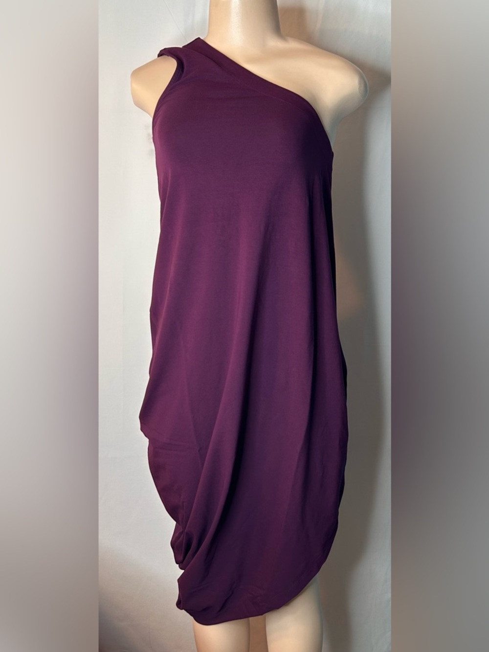 Iconic Geneva Dress by Universal Standard Plum Maxi Hi-Low Side Size 4XS